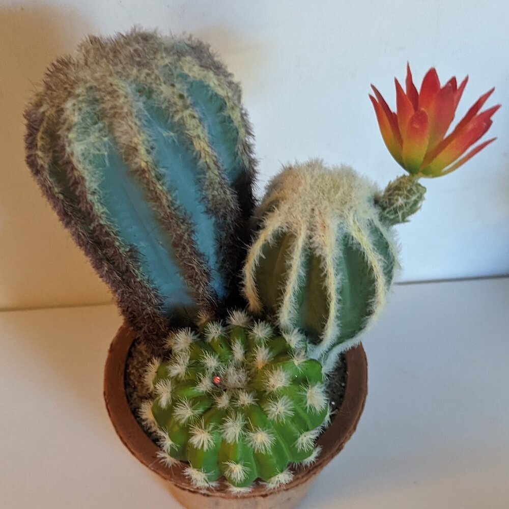 NEW Ashland Faux Triple Cactus Clay Pot Floral Succulent Michael's Desert Summer - Picture 2 of 8